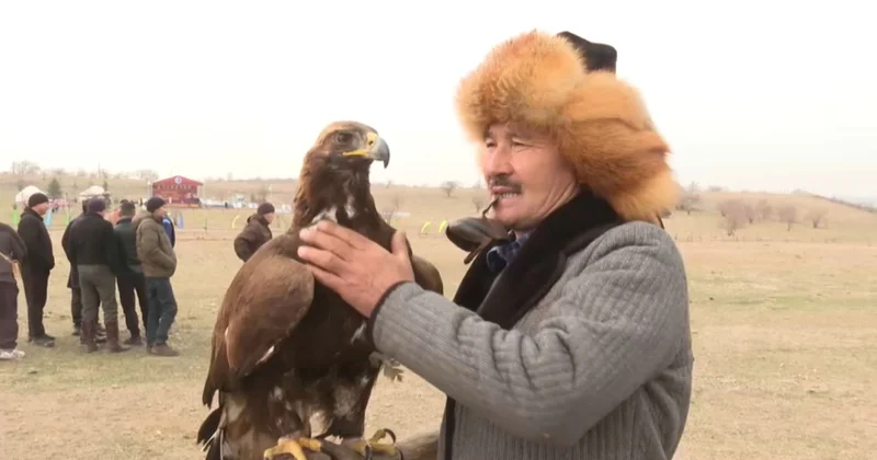 Алматы облысында дәстүрлі Сонар 2025 халықаралық құсбегілер турнирі өтті