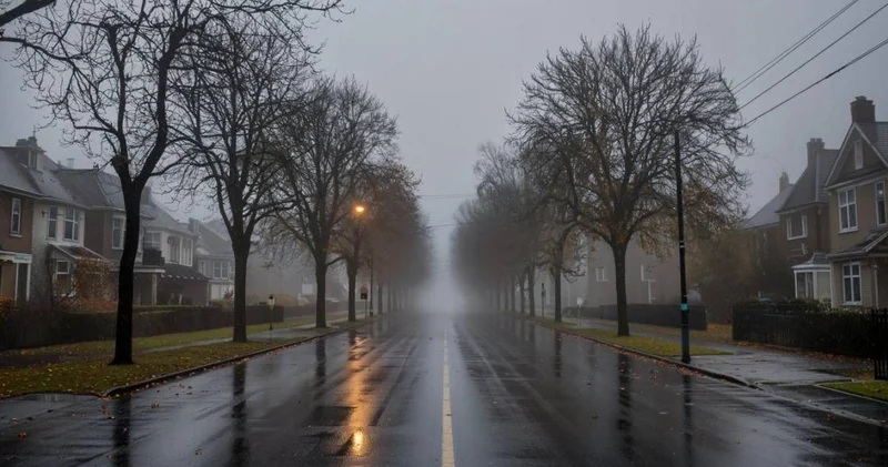 24 қарашадағы ауа райы болжамы