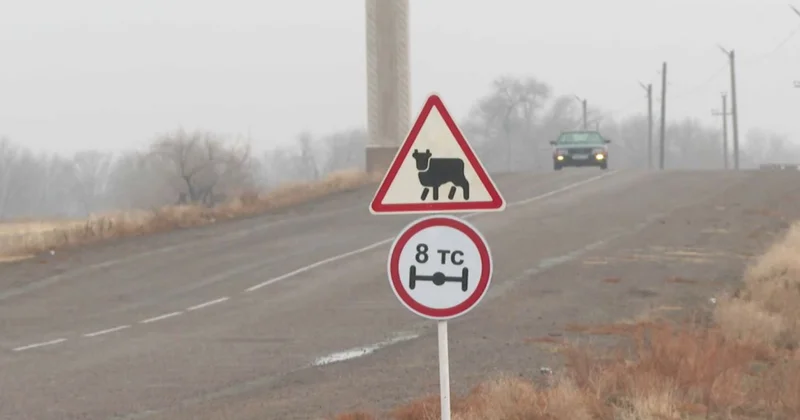 Жамбыл облысы Рысқұлов ауданының шаруалары мал ұрлығының ашылмайтынына шағымданды