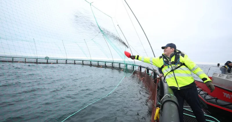 Маңғыстауда Орталық Азиядағы алғашқы теңіз аквашаруашылық жобасы іске асып жатыр