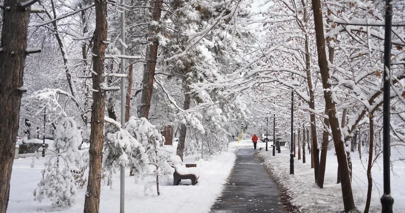 Дожди, метели и 30 градусные морозы придут в Казахстан