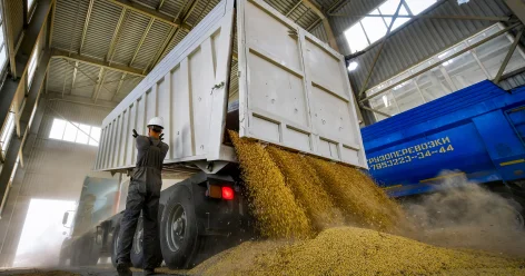 Казахстан экспортировал около 4 миллионов тонн нового зерна
