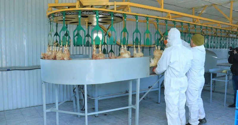 Приоритетом развития определена переработка