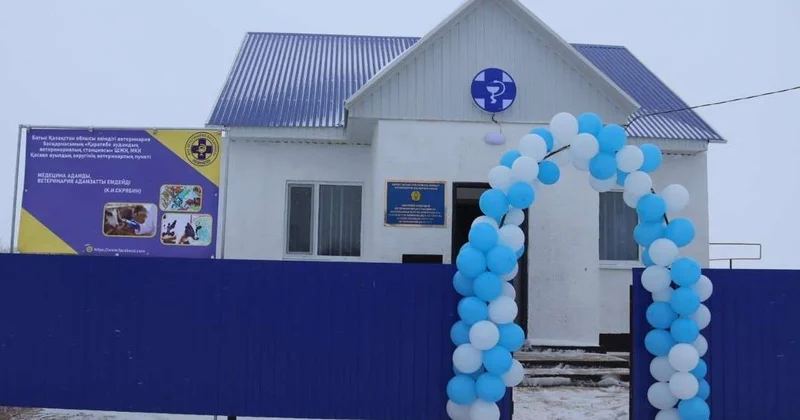 Обновляется ветеринарная инфраструктура