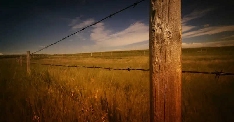 25 лет в частной собственности: землю оборонного назначения в Шымкенте возвращают государству