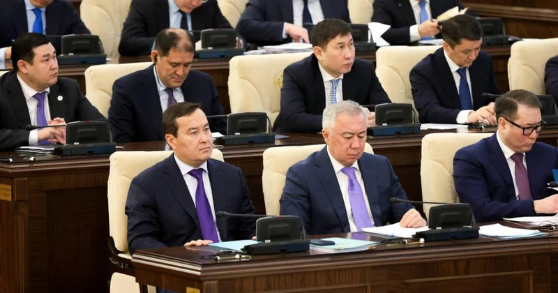 Қазақстанда кәсіпкерлікті қолдау жүйесінде кемшіліктер анықталды