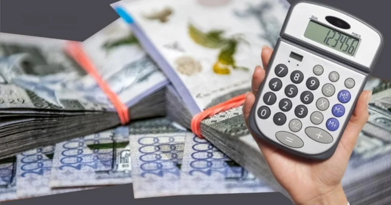 Дополнительную помощь детям до 6 лет выплачивает Казахстан