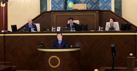 Искажения на 132 миллиардов тенге: ВАП указала на перекосы в мерах господдержки бизнеса