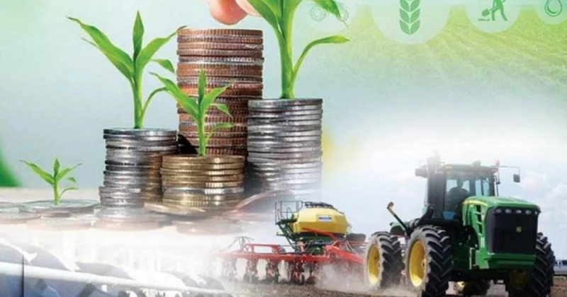 Маңғыстауда ауыл шаруашылығы өнімдерінен 38 миллиард теңге табыс түскен