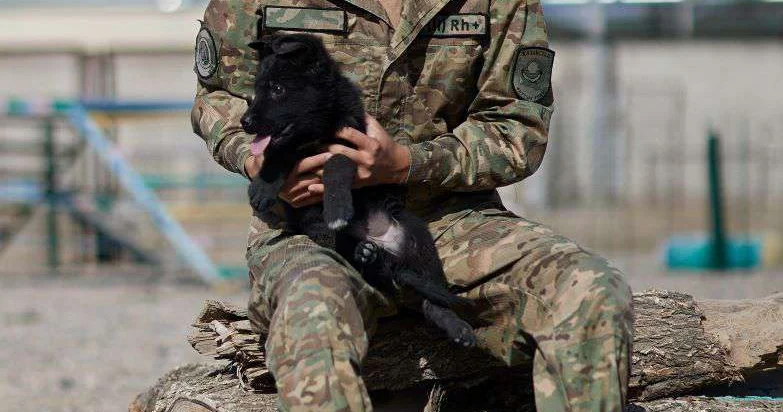 Помощь окажет Локи