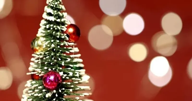 Түркістан облысында жеңіл көлік көшедегі бас шыршаға соғылды