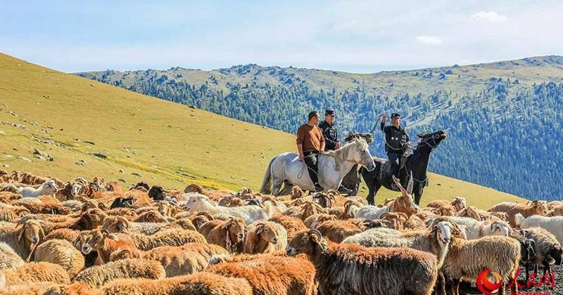 Малшыларға қатысты жаңа шешімдер әзірленіп жатыр