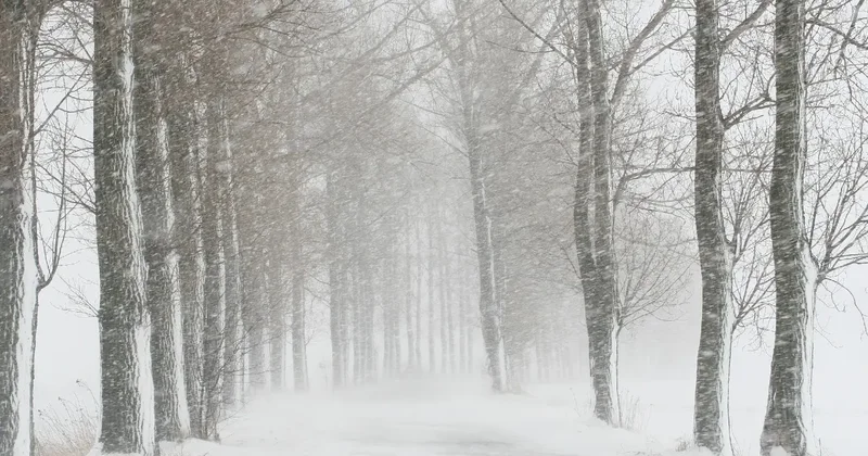 На севере метель, на юге гололёд: какой будет погода в мегаполисах в ближайшие три дня