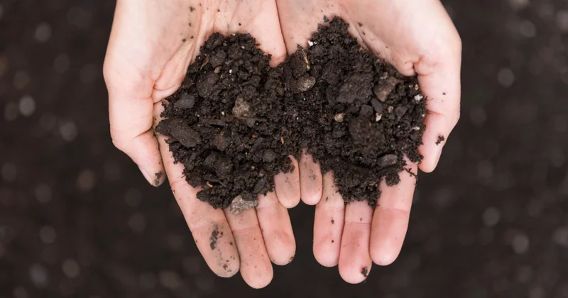 Алдағы 3 жылда 17 млн гектар жердің құнарлылығы тексеріледі