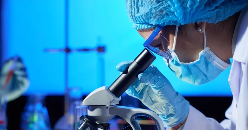 Вспышку смертельного вируса зафиксировали в Индии