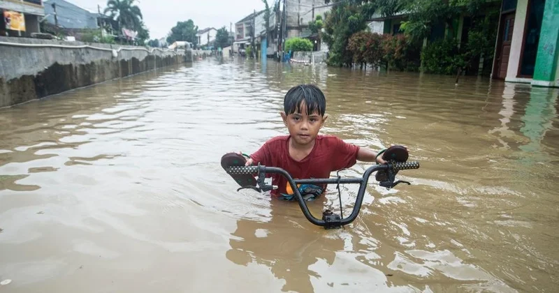 Индонезияда лай көшкіні мен су тасқыны салдарынан 7 адам мерт болды