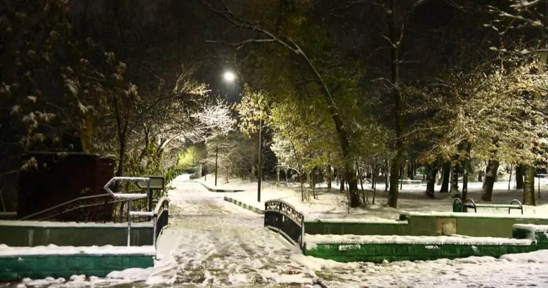 Шымкенттегі Дендросаябақта 60 бейнекамераның 40 қа жуығы жұмыс істемейді