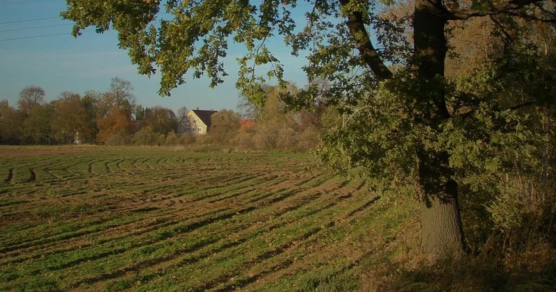 Жителя Тараза обязали вернуть миллионы за проданный участок, который ему дали в аренду