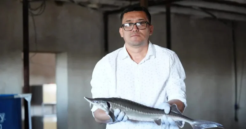 Ауыл аманаты : Қызылордалық кәсіпкер заманауи технологиямен ауылда балық өсіріп отыр