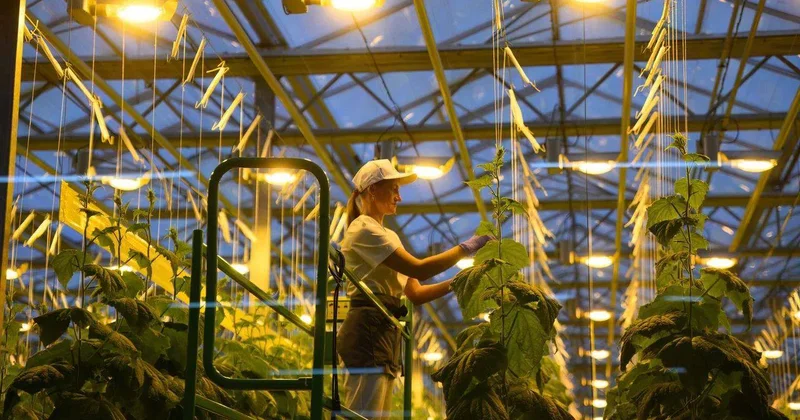 Зеленый Север ұжымымен кездесуде Конституция жобасының негізгі ережелері талқыланды