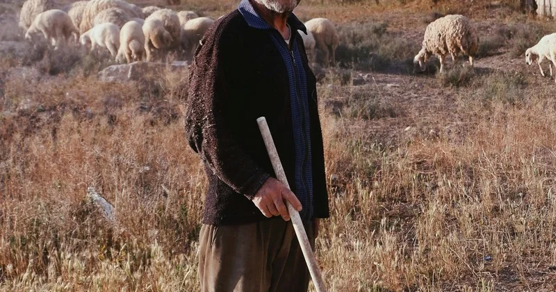 Семье иностранцев платили по 120 тыс. тенге в месяц в Казахстане: супруги оказались в суде