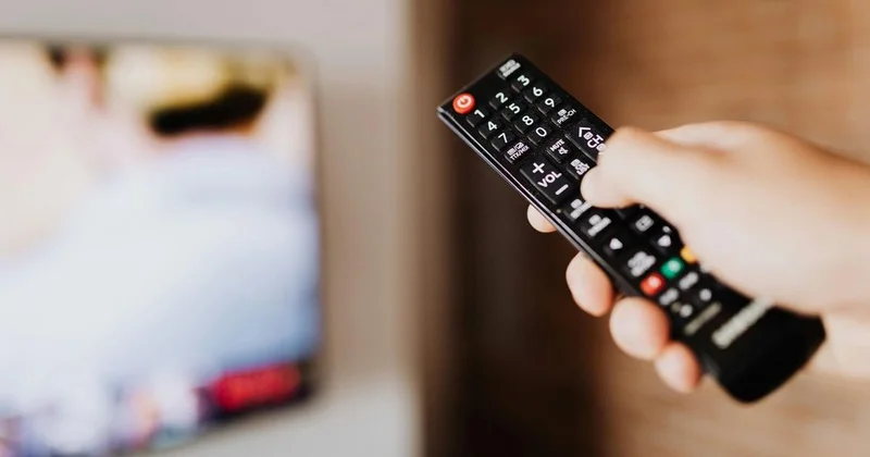 Пульт от телевизора стал орудием убийства в Петропавловске