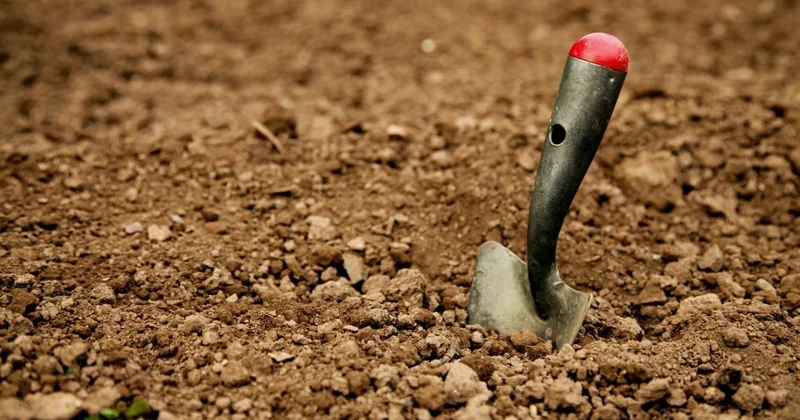 Археологи обнаружили следы резни 2800 летней давности