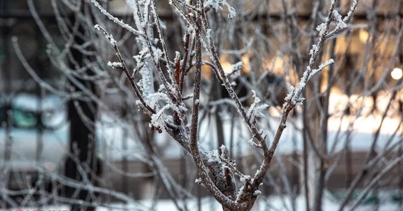 Стало известно, какой будет погода в конце зимы в Казахстане