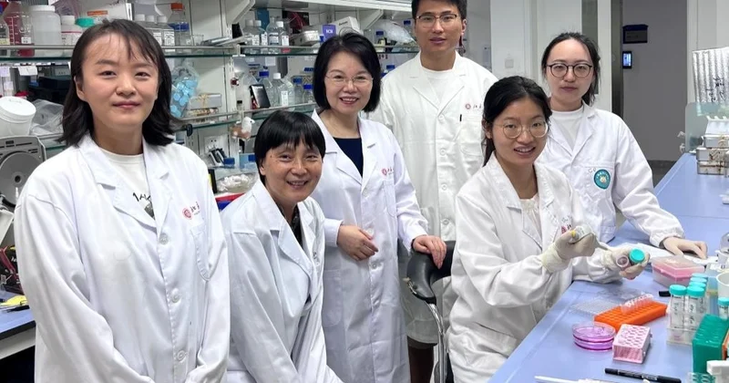 5 млн өнертабыс: Қытай патенттер бойынша әлемдік көшбасшы атанды