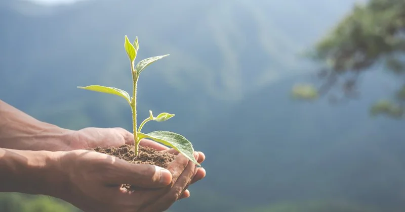 Ұлттық білім академиясы экологиялық білім стандартын әзірлеп жатыр