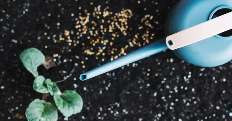 Жер құнары төмендеп барады: мәселе қаржыда ма, жүйеде ме