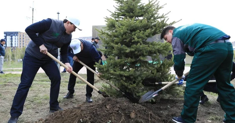 Жасыл желек республикалық акциясы: Жетісуда 8 мыңнан астам ағаш отырғызылды