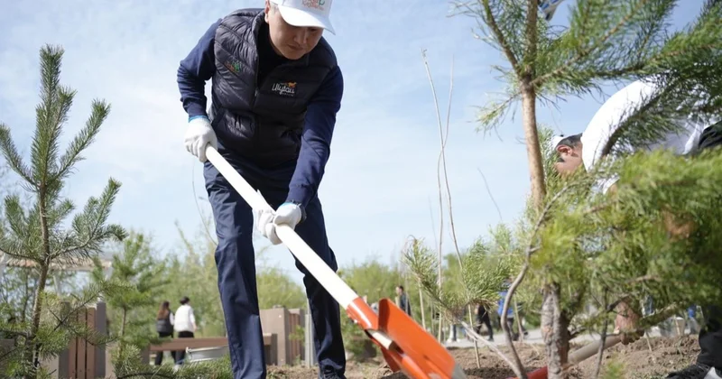 Ұлытау облысында бір күнде 1 550 түп жасыл желек егілді