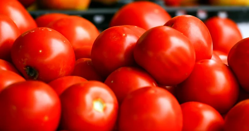 Поручение Премьер министра: на базарах ЗКО сняли завышенные ценники