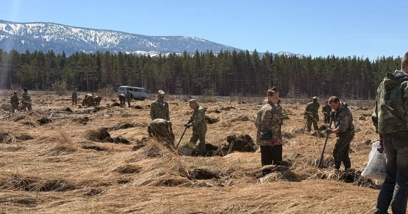 В Риддере высадили 20 тысяч деревьев в ходе масштабного субботника