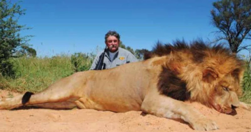 Африкада аңға шыққан миллионерді пілдер таптап өлтірді