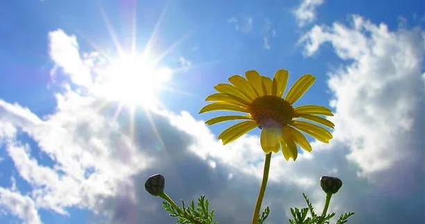 Солтүстікте жел күшейіп, оңтүстікте күн ысиды: 25 сәуірге арналған ауа райы болжамы