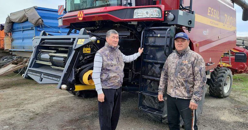 Сеют зерно, надеются на подсолнечник