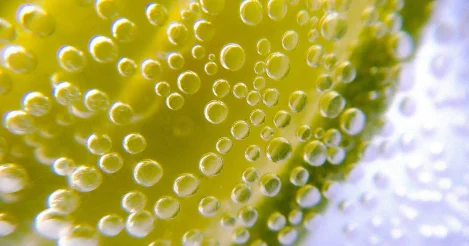 Почему нельзя запивать таблетки газировкой врач