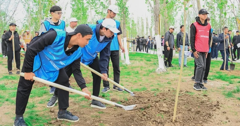 Таза Қазақстан : Қызылорда облысында 12 000 тал егілді