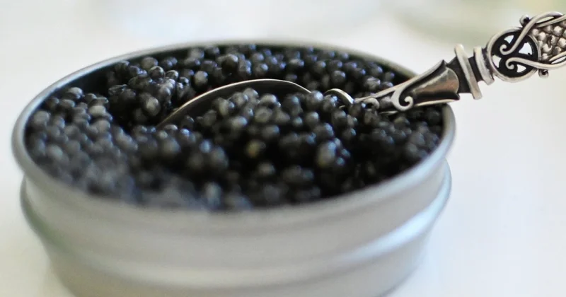 За покупку незаконно добытых осетров и икры в Казахстане грозит уголовная статья