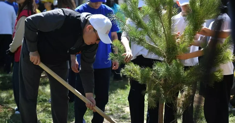 Елімізде екі жылда 5,5 миллионға жуық тал егілген