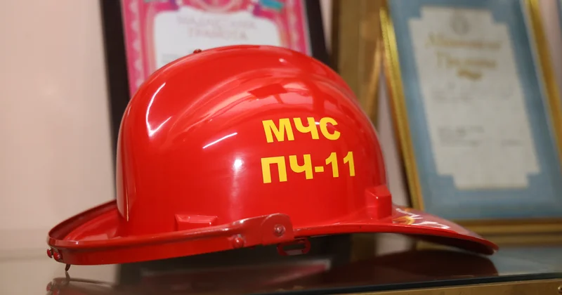 Петропавлда ағашқа өрмелеп шыққан ер адам өздігінен түсе алмай құқарушылардың көмегіне жүгінді