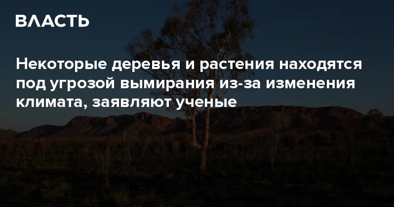 Некоторые деревья и растения находятся под угрозой вымирания из за изменения климата, заявляют ученые Аналитический интернет журнал Власть