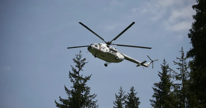 Қазақстанда бір тәулікте орман қорында үш өрт тіркелді