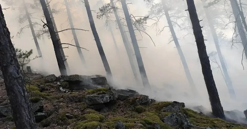 Два пожара произошли в нацпарке Бурабай
