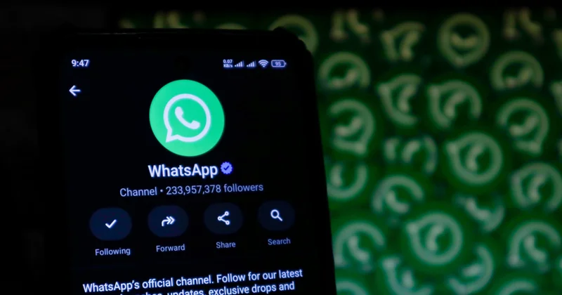 WhatsApp жұмысқа арналған жаңа функцияға ие болды не өзгерді