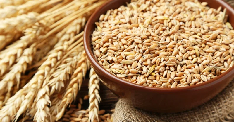 Мировые цены на пшеницу упали на 12% за месяц
