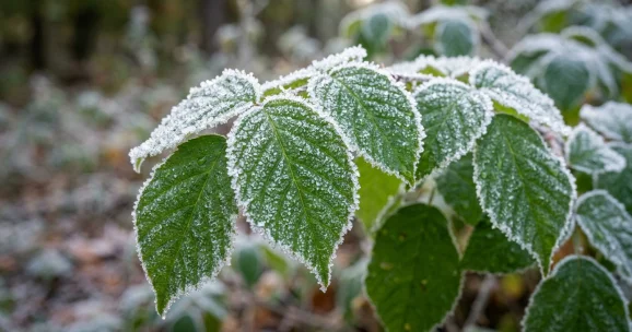 Заморозки до 11°C, пыльные бури и гололед: объявлено штормовое предупреждение