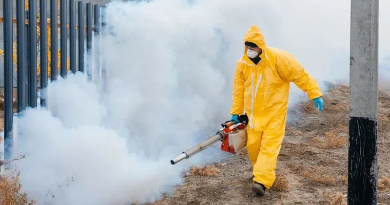 Акимат Атырауской области: Ситуация с грызунами в сельском округе Бейбарыс под постоянным контролем